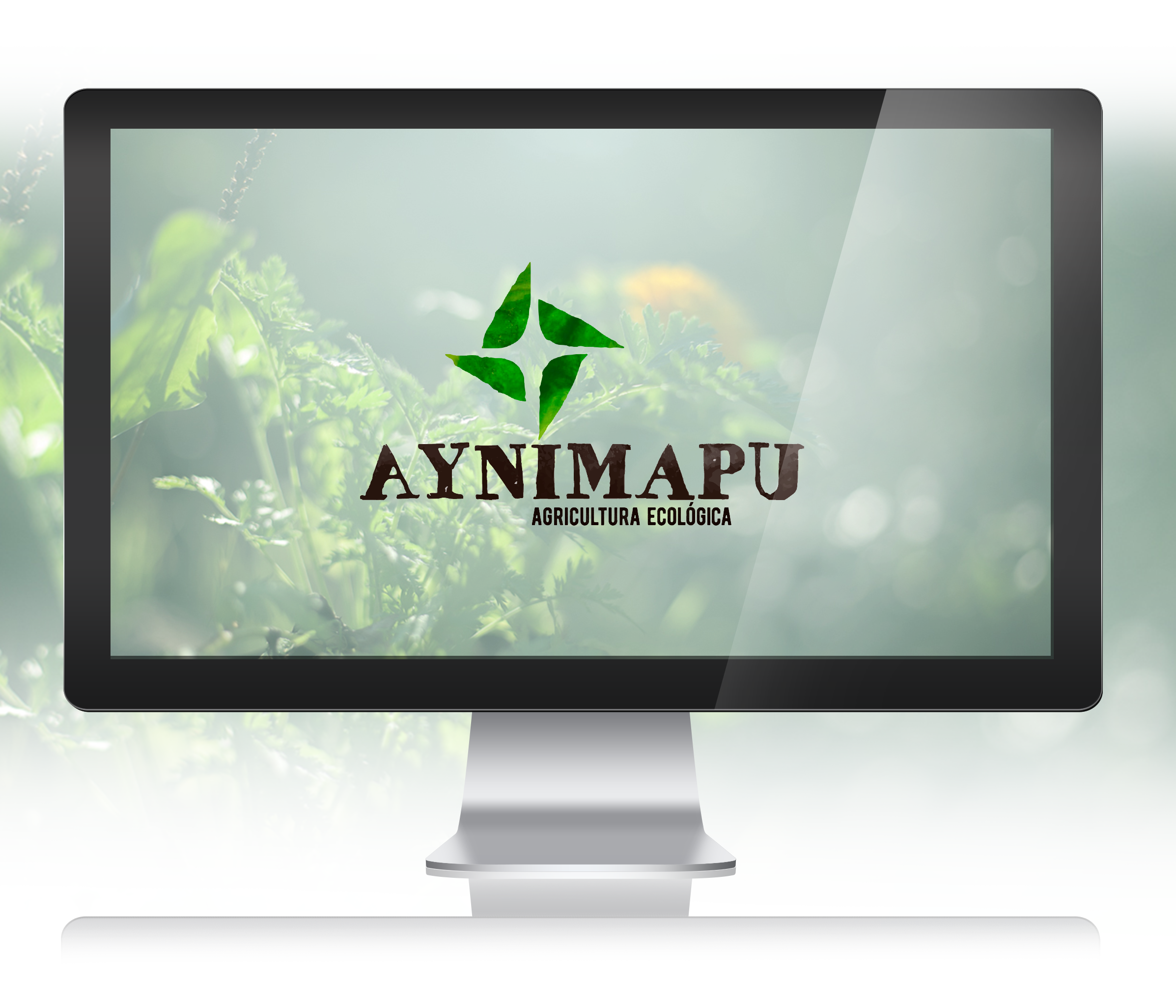 aynimapy-logo-imac-cf-up-03